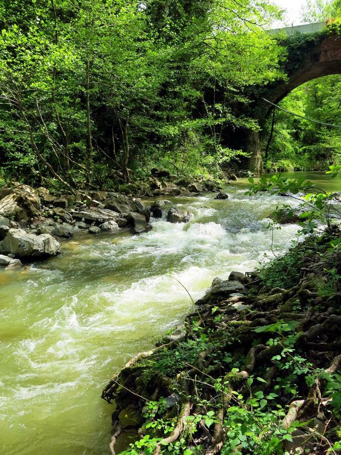 Andante Appartamenti Кастельнуово-ді-Валь-ді-Чечина Екстер'єр фото